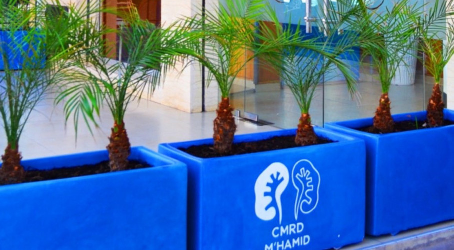 M'HAMID DIALYSIS CENTER